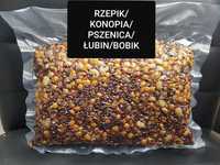 Mix Rzepik/Konopia/pszenica/łubin/bobik 1 kg