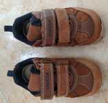 GEOX Sapatilhas Castanhas (24)