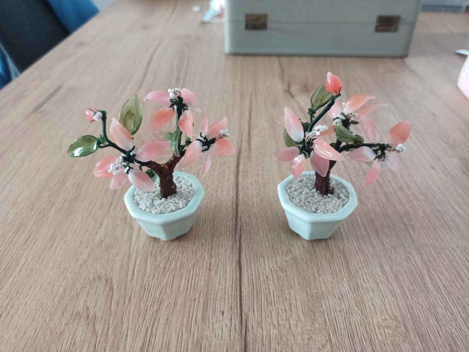 Jadeitowe drzewka bonsai