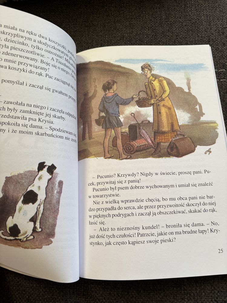 Książka „Puc, Bursztyn i goście”