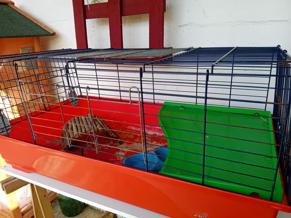 Gaiola para roedores grandes