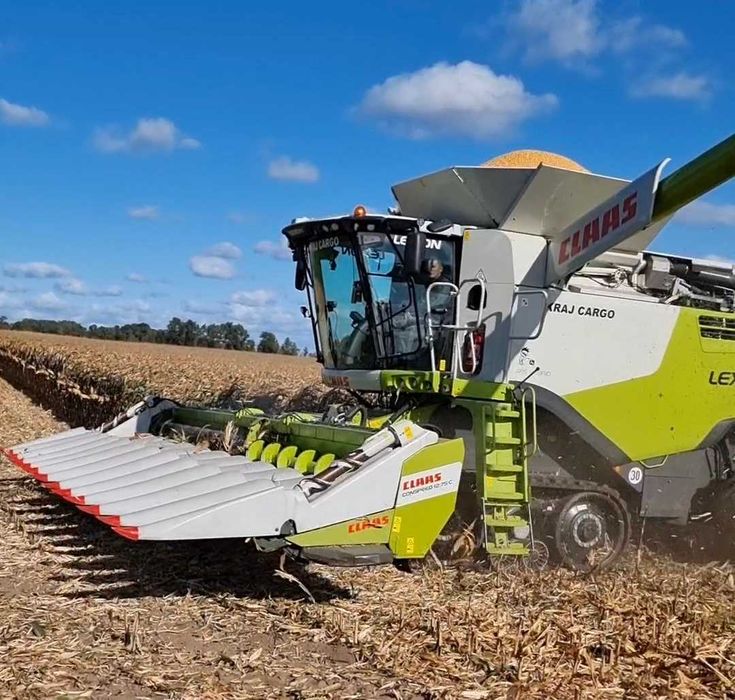 Koszenie Zbiór Ziarno Kukurydza 2025