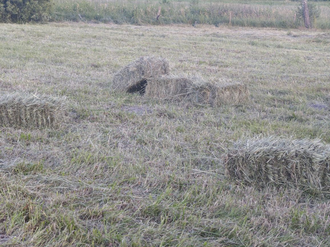 Сіно, сіно лугове, сіно в тюках, тюки
