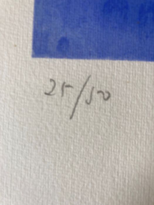 Serigrafia “Biblioteca “ de Paulo Ossião. Nr 25/50