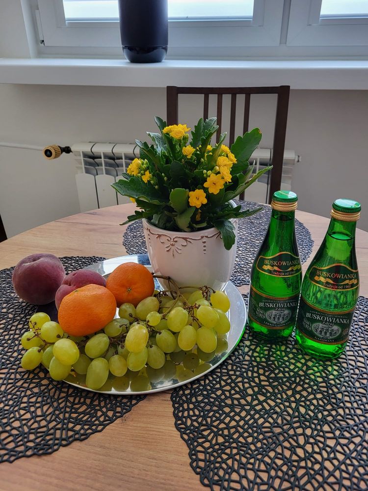 Apartament MAX Busko-Zdrój