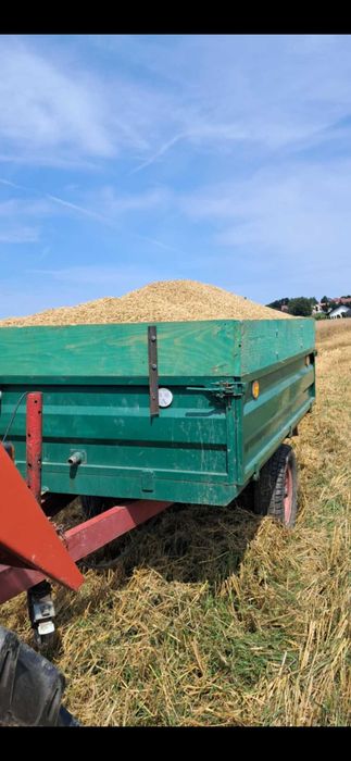 Mieszanka owsa z jeczmieniem