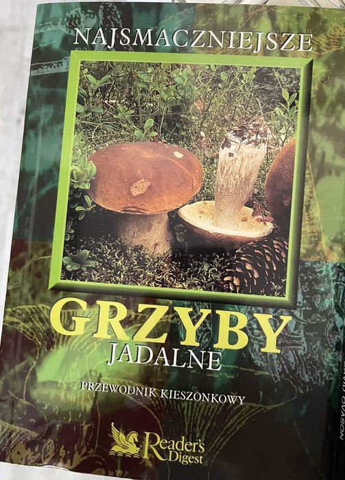 Najsmaczniejsze grzyby jadalne