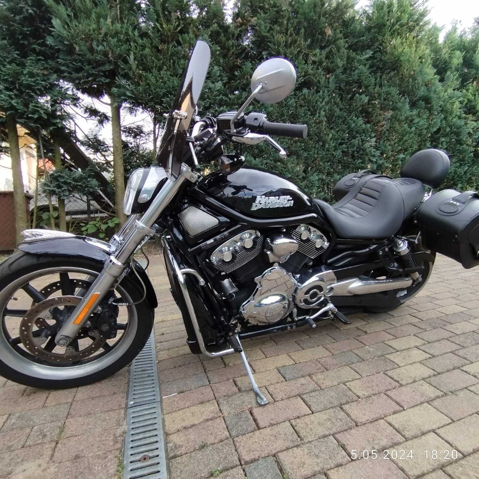 Harley Davidson v-rod VRSCD 2007R