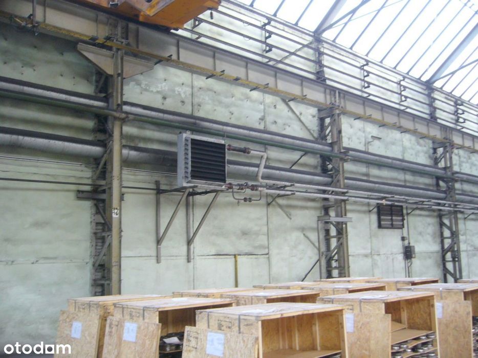 hala suwnica 5 t;poziom 0