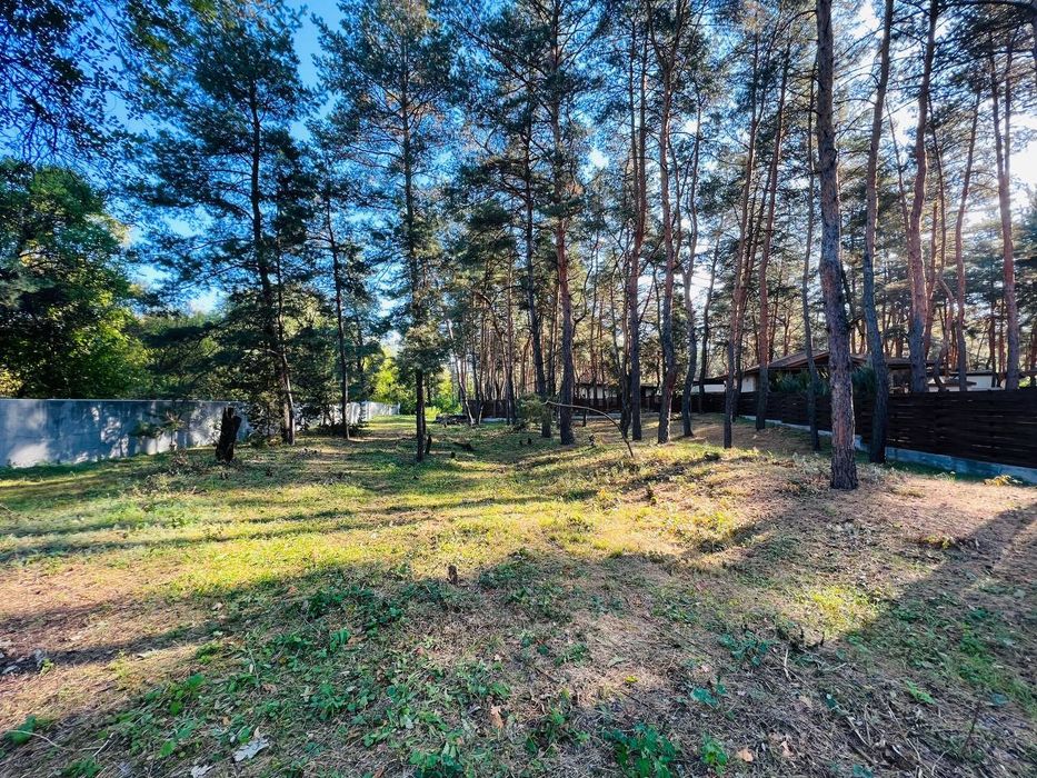 Продам участок в сосновом лесу в Обуховке закрытая территория лес река