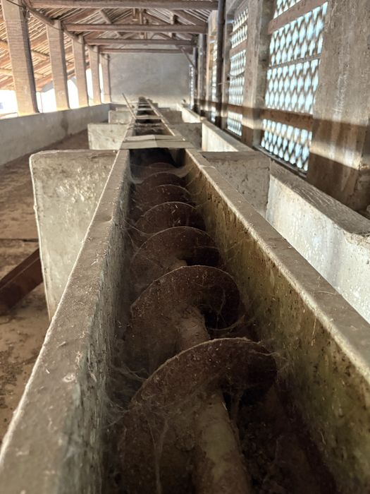 Зерносушка pavesi шахтна