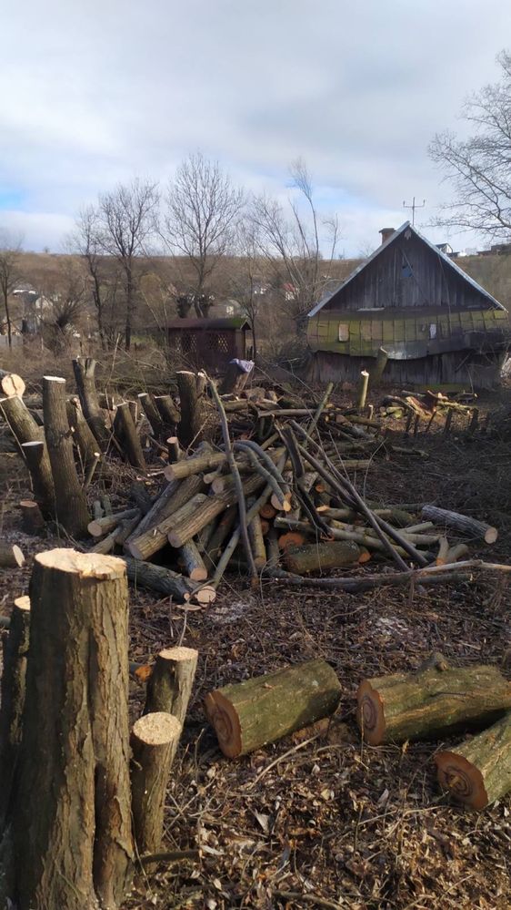 Обрізати Спилити Дерево!!! Чистка Дерев.Чернівці