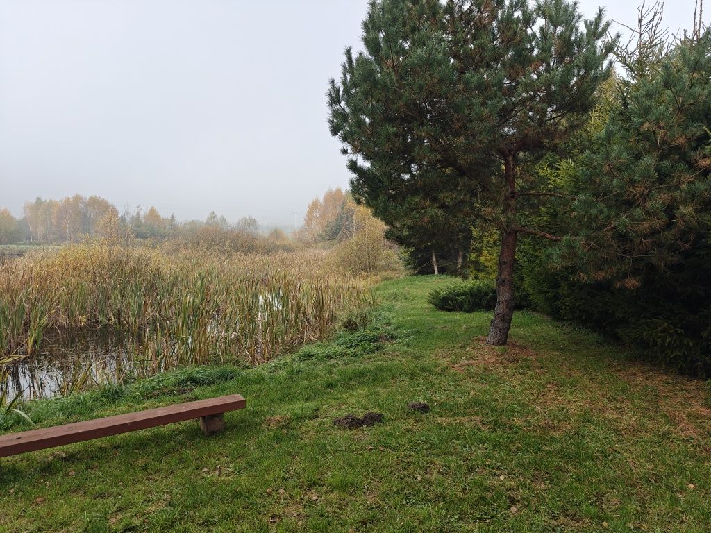 Domek nad stawem