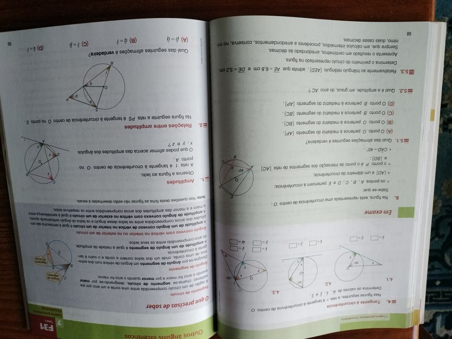 Matemática Dinâmica 9°ano, caderno de atividades