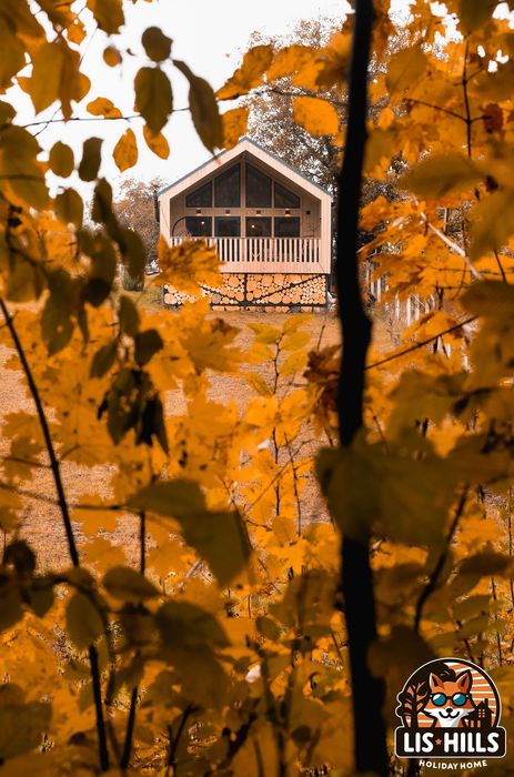 Шале з Басейном та Чаном! Будинок Софіївка дом посуточно  подобово