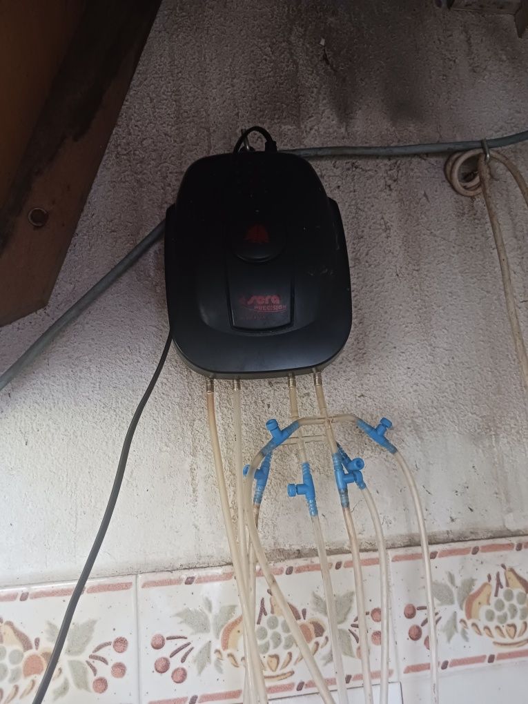 Bombas de ar "SERA" 550R Plus