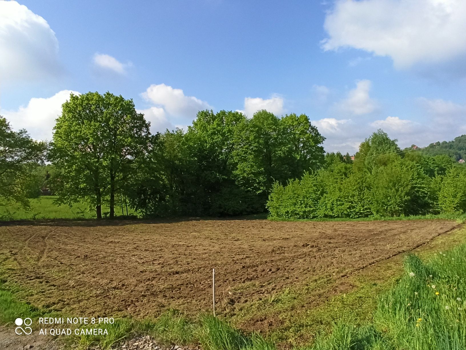 Wykaszanie Nieużytków Kosiarką Bijakową