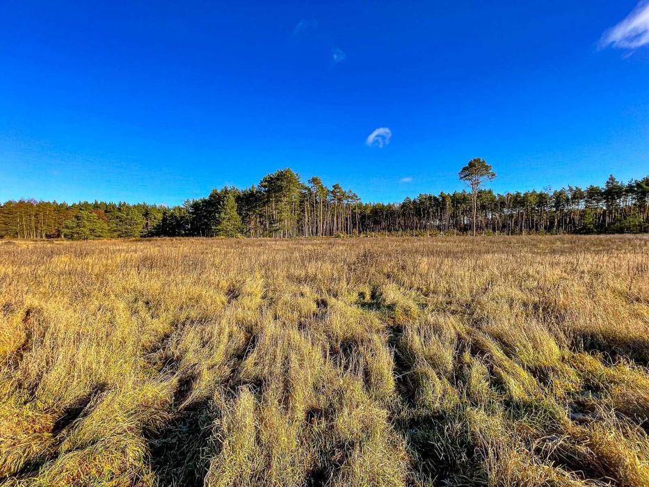 Wyjątkowa działka siedliskowa przy Kotuńskiej Drodze 3663 m²