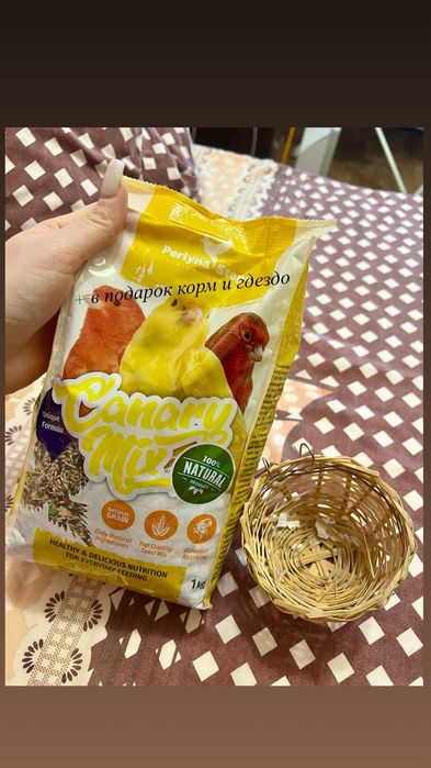 Продам клетку для Конора!!! Срочно!!!