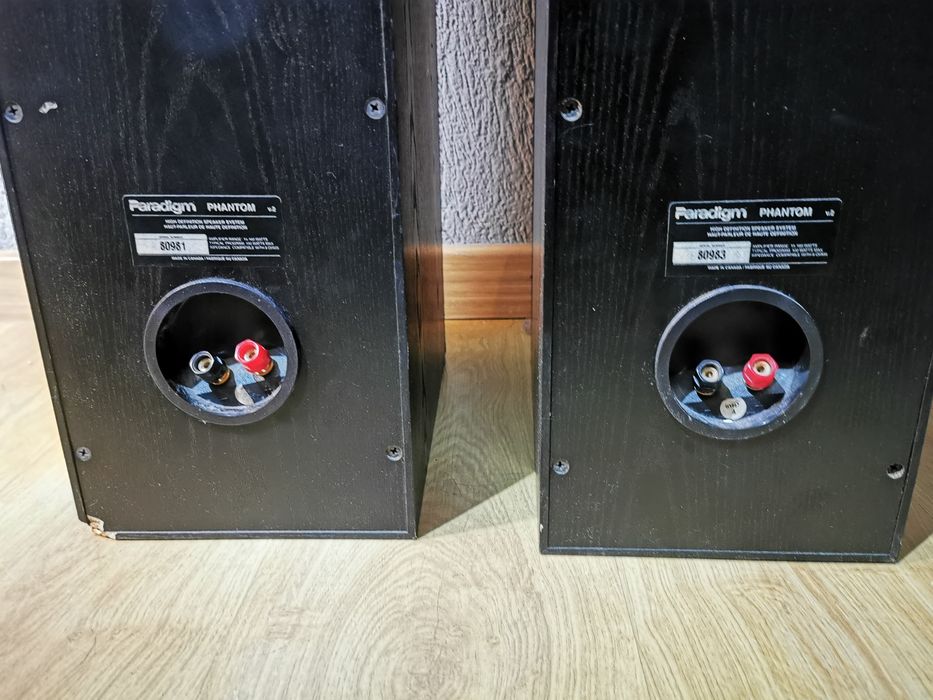 Kolumny głośnikowe Paradigm Phantom v2