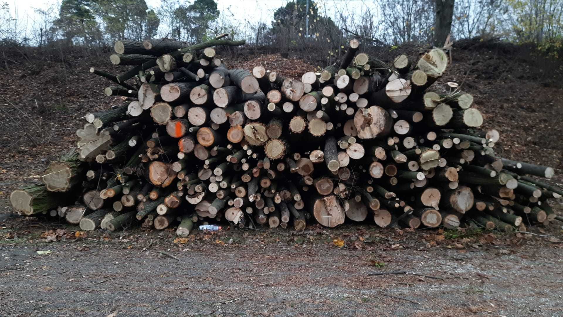 drewno kominkowe opałowe gałęziówka dąb, jesion, jawor, klon, akacja