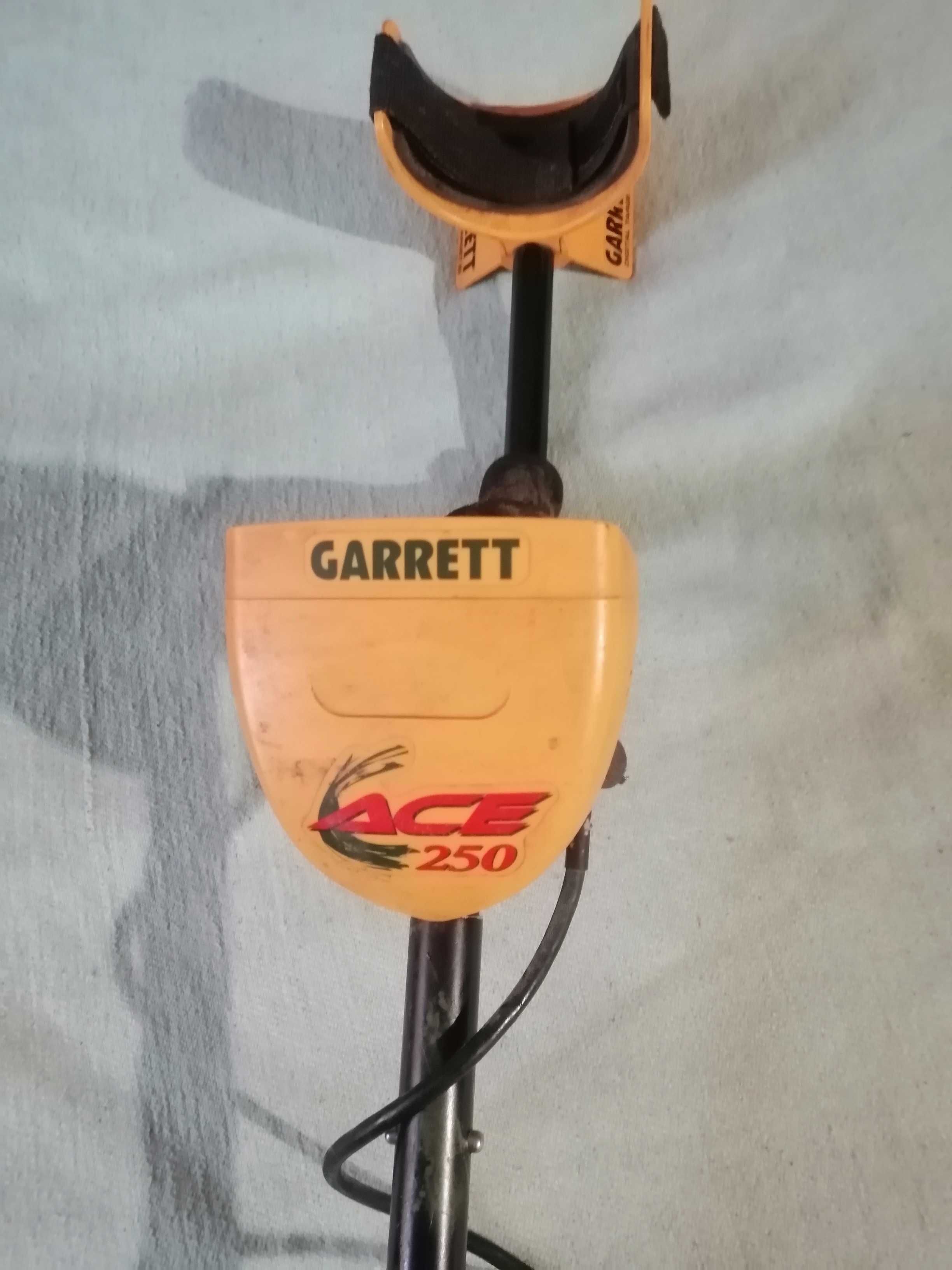 Металошукач Garet ace 250