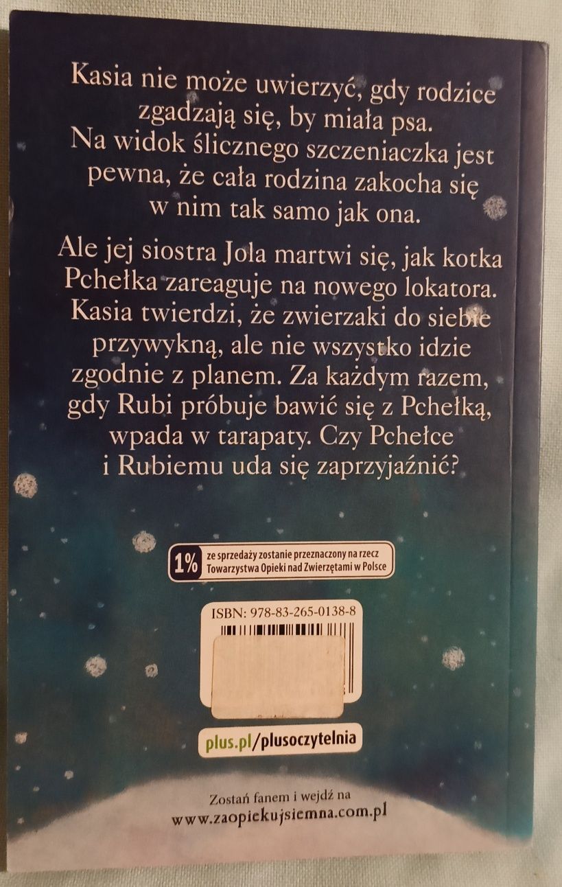 Holly Webb, Mały Rubi w tarapatach