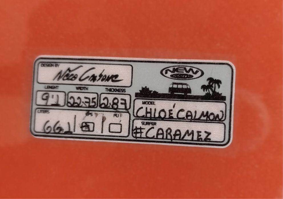 Prancha Longboard Progressivo New Advance 9.1’