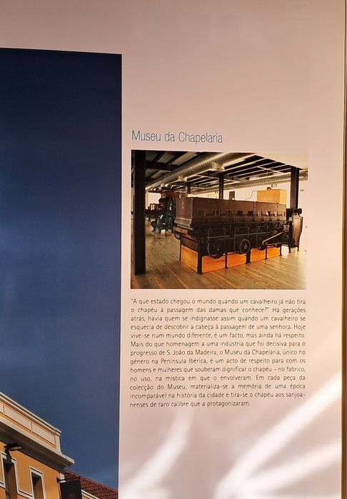 Livro sobre São João da Madeira, 2008 PORTES GRÁTIS.