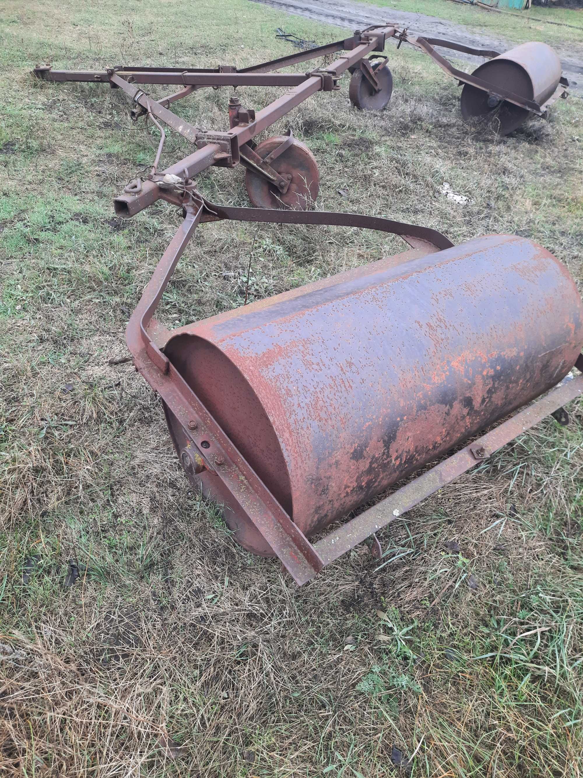 Продам котки гладкі 6 шт