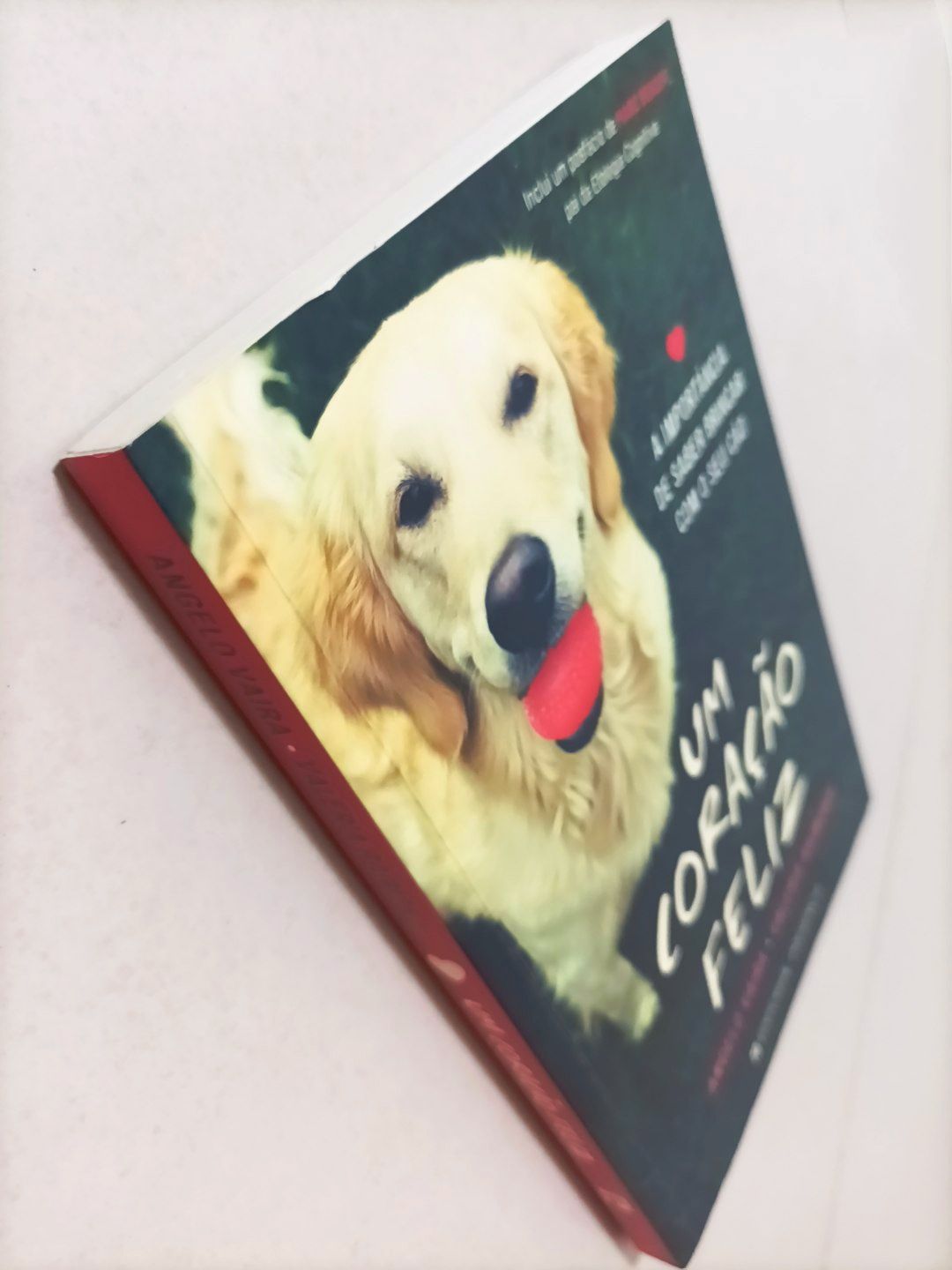 Livro: Um Coração Feliz - A Importância de saber brincar com o seu Cão