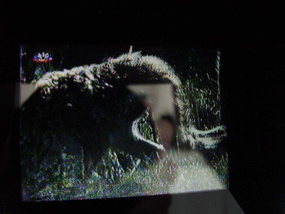 Monitor SONY XV-M30E semi profissional para camara analógica HANDYCAM