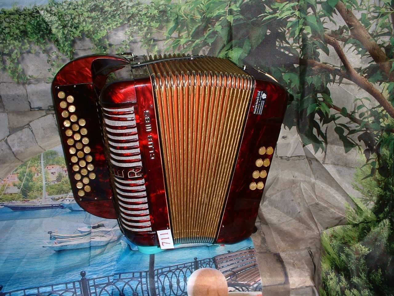 Concertina a venda n.711