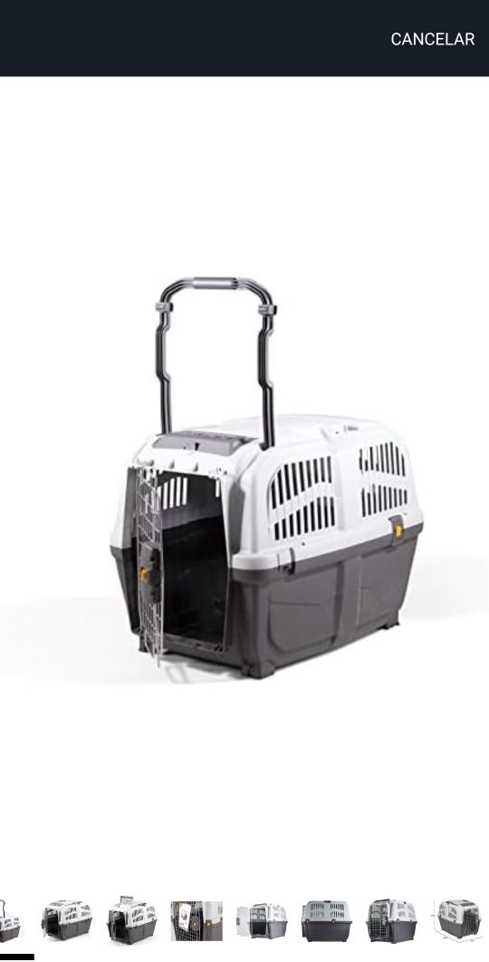 Transportadora iata 4 para cães