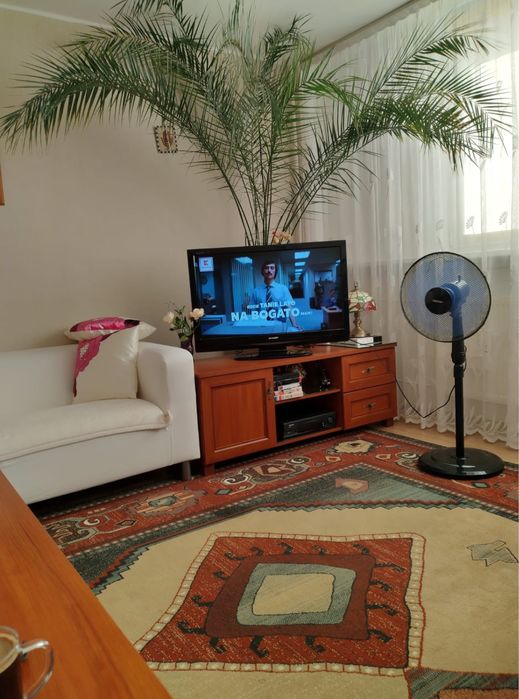 Dywan używany wymiary 3x4 metry