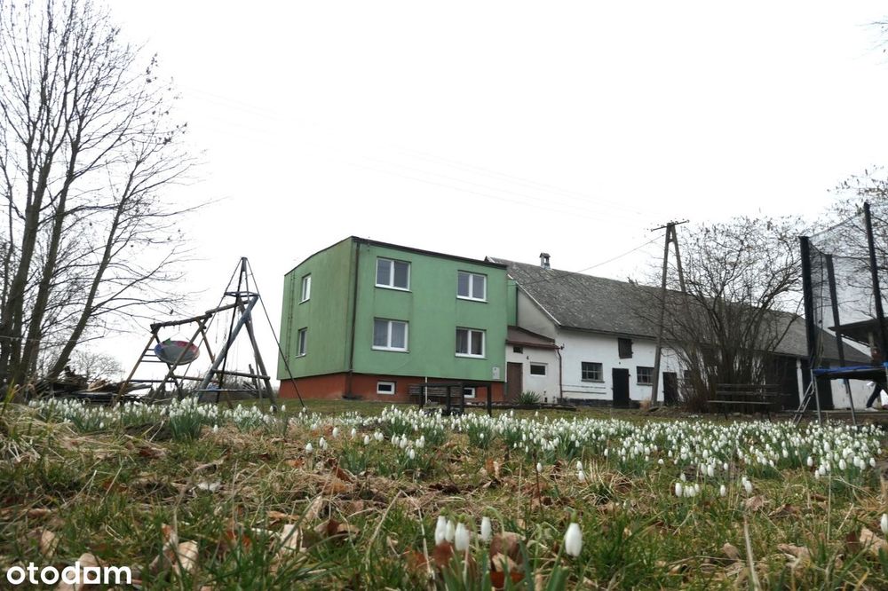 Siedlisko z potencjałem | 5 km od plaży | Łaszka k. Sztutowa