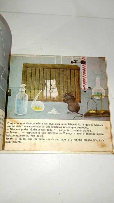 Dois ratos em Viagem - Verbo