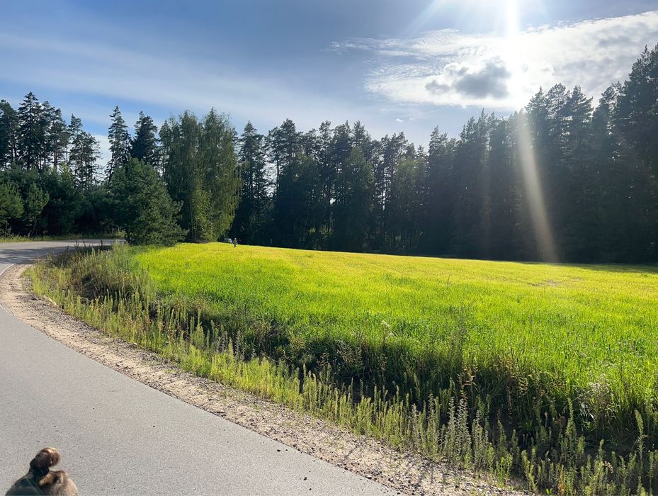 Dzialka z pozwoleniem na budowe, Szczebra okolice Augustowa