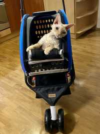 Wózek dla psa/kota Ibiyaya