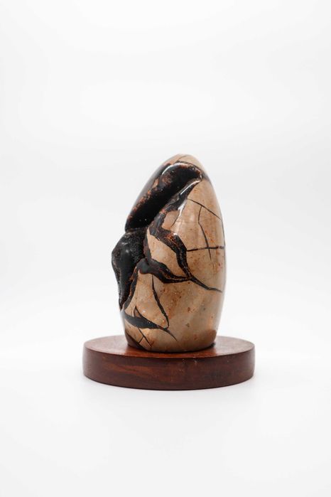 Drusa Septário polido em base de madeira.