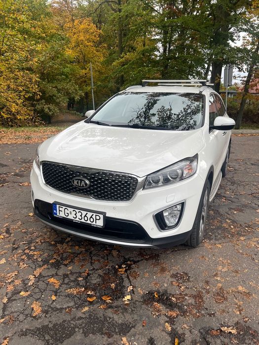 Kia Sorento Polski salon, doposażony, 7 osób, Automat business line