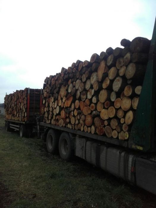 Drewno kominkowe opałowe Warszawa i okolice