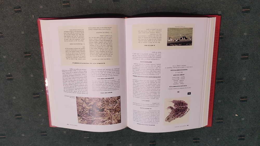 Portugal Animal - Clara Pinto Correia/António José Cidadão