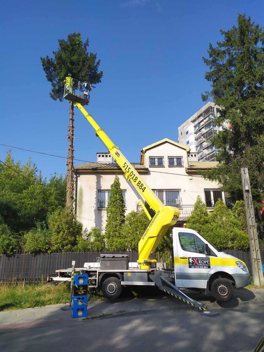 Wycinka drzew, Podnośnik koszowy, rębak, montaż reklam, zrębki,