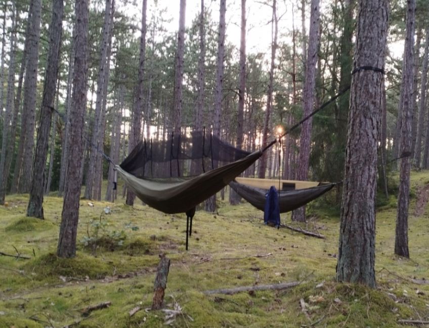 Hamak z Moskitierą Turystyczny Dwuosobowy Survival Kempingowy Mocny