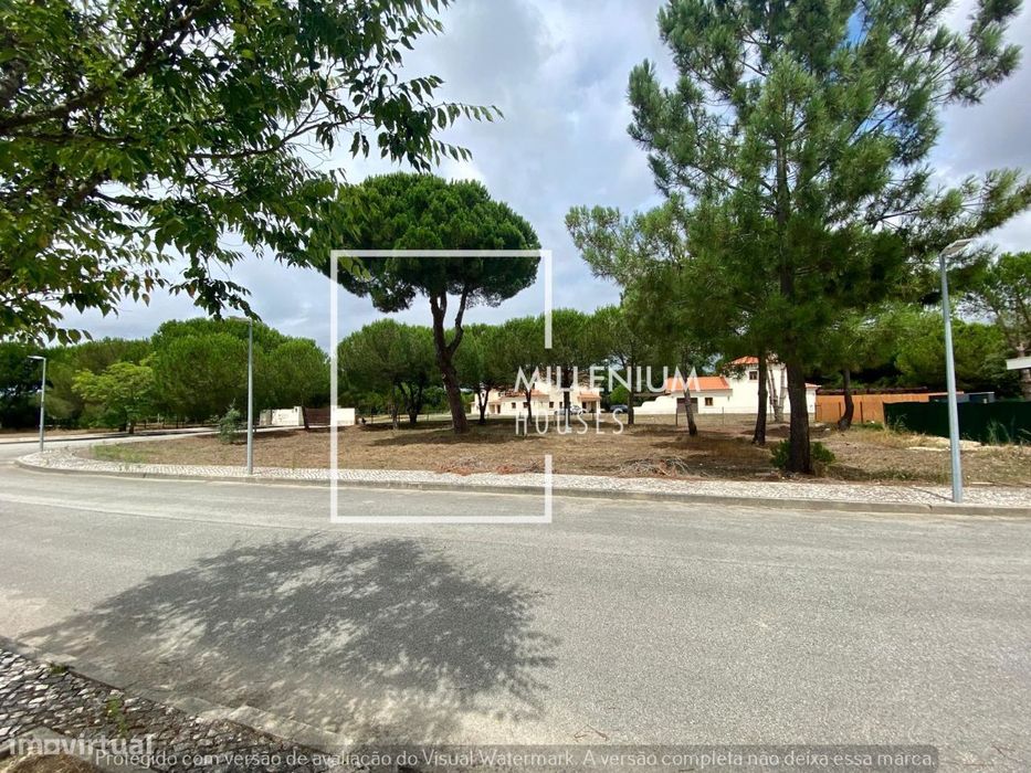 **Terreno em Venda | Golfe | Vila Nova de Santo Estêvão**
