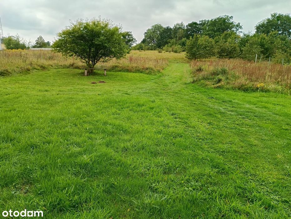 Działka Budowlana 2199 m² w spokojnej lokalizacji
