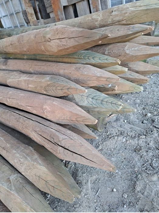 Paus tratados Baratos