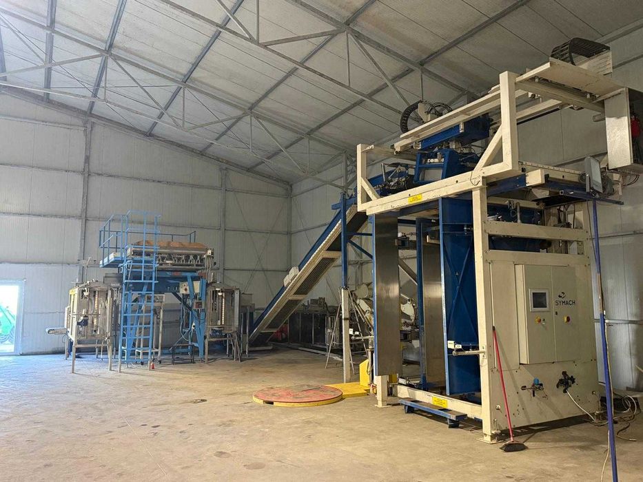 Linia Waga kombinacyjna Newtec Paletyzer Symach do warzyw ziemniaków