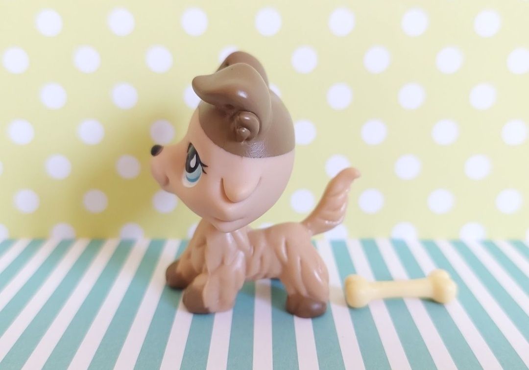 Littlest Pet Shop LPS unikatowy pies Collie #893 pop